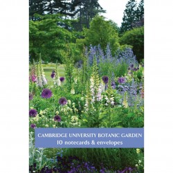 Botanic Garden University of Cambridge Fitzwilliam Museum 10 Note-let Pack of Greeting Cards (2 Each of 5 Designs)