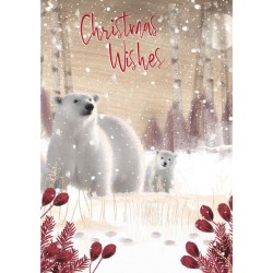 Into the Green Publishing 100% Plastic Free ECO Friendly Pack of 10 Xmas Christmas Cards with Envelopes (Polar Bear Family)