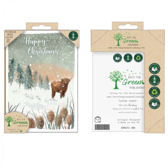 Into the Green Publishing 100% Plastic Free ECO Friendly Pack of 10 Xmas Christmas Cards with Envelopes (Bison in Snow)