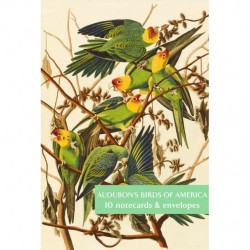Audubon's Birds of America - Pack of 10 Notecards (2 each of 5 Designs) - Blank Greeting Cards by Fitzwilliam Museum Cambridge