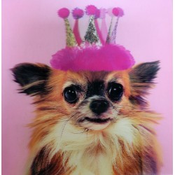 Chihuahua Dog in Party hat Lenticular 3D Greeting Card by Tracks Publishing