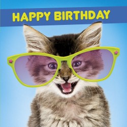 Cats in Huge Glasses Lenticular 3D Holographic Greeting Card Tracks Publishing