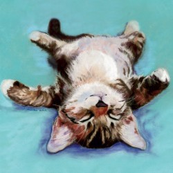 Little Napper Kitten Blank Fine Art Print Greeting Card for Any Occasion