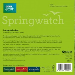 European Badger BBC Springwatch Range Blank Greeting Card