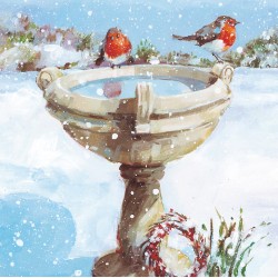 Robins in Garden Birdbath Winter Scene - Pack of 6 Festive Art Xmas Charity Christmas & New Year Greetings Cards