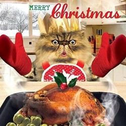 Cat Cooking Roast Turkey Dinner Funny Goggly 3D Moving Eyes Christmas Card