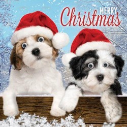 Cute Puppy Dogs Googlies Wobbly Goggly Eyes Christmas & New Year Greeting Card