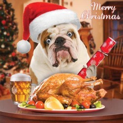 Dogs Turkey Dinner with Beer Pint Fun 3D Goggly Eyes Christmas & New Year Card