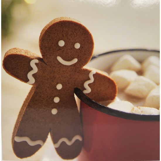 Gingerbread Man 10 Gloss Photo Finish Blank Christmas Cards (5 each of 2 Designs)  Xmas Box by Hallmark Studio Gallery