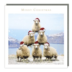 Sheep Xmas Pyramid Tracks Traditional Charity Christmas Sparkle Cards - Pack of 5 Xmas Cards