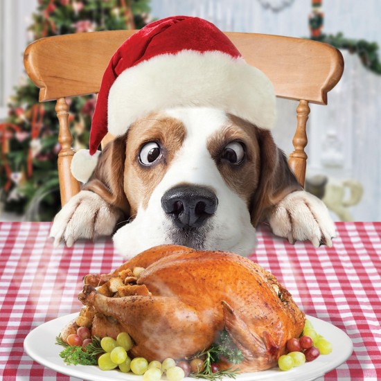 Festive Dogs Turkey Dinner Fun Party Animal - Pack of 5 Charity Christmas Cards - Sold in Aid of Marie Cancer Care