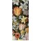 Bosschaert’s A Still Life of Flowers in a Wan-Li Vase 3D Keyring by The National Gallery