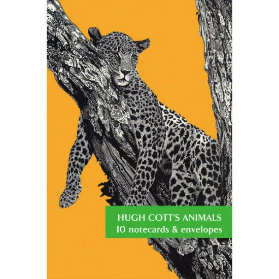 Hugh Cott's Animals Zoology Collection Cambridge University - Pack of 10 Notelets - Blank Greeting Cards by Fitzwilliam Museum