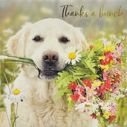 Labrador Dog With Flower Bouquet Thanks A Bunch - Thank You Notecards Luxury Foil Finish Pack of 5 Cards and Envelopes