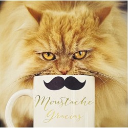 Cat With Moustache Gracias Mug - Thank You Notecards Luxury Foil Finish Pack of 5 Cards and Envelopes