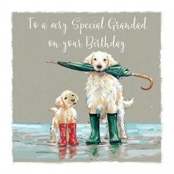 Special Grandad Happy Birthday Greeting Card Dogs Splashing in Puddles (II0973)