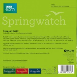 European Rabbit BBC Springwatch Range Blank Greeting Card
